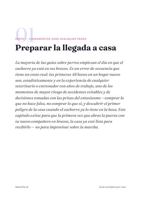 Página de muestra 2: Bulldog Francés